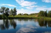 Платная рыбалка в сафари парке Лесные Угодья